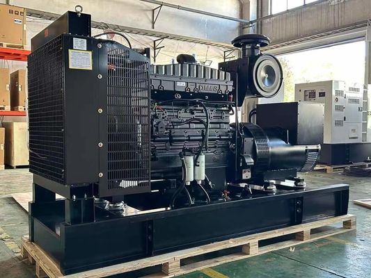 CE/ISO Certified 500kva Power Electric GAS Generator for Natural Gas Power Plant