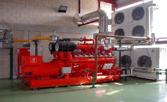 120kw Methane Gas Powered Biogas Generator Set with Low Noise Water Cooling System