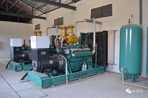 120kw Methane Gas Powered Biogas Generator Set with Low Noise Water Cooling System