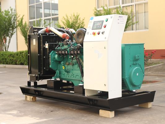 Natural Gas Generator for CHP Biogas Generator 125kVA 100kw Protection Class IP23