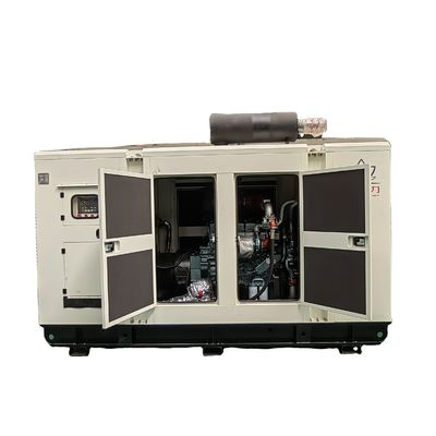 300KVA 250kw Methane Gas Generator with Remote Start and Pure Copper Brushless Alternator