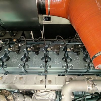 300KVA 250kw Methane Gas Generator with Remote Start and Pure Copper Brushless Alternator