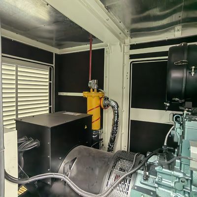 300KVA 250kw Methane Gas Generator with Remote Start and Pure Copper Brushless Alternator