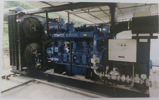 100KVA Biogas Generator Set with Electrical Start and Pure Copper Brushless Alternator