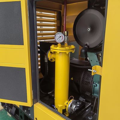 250KVA 200kw Super Silent Super sound proof Biogas LPG Biomass Natural Gas Generator Set